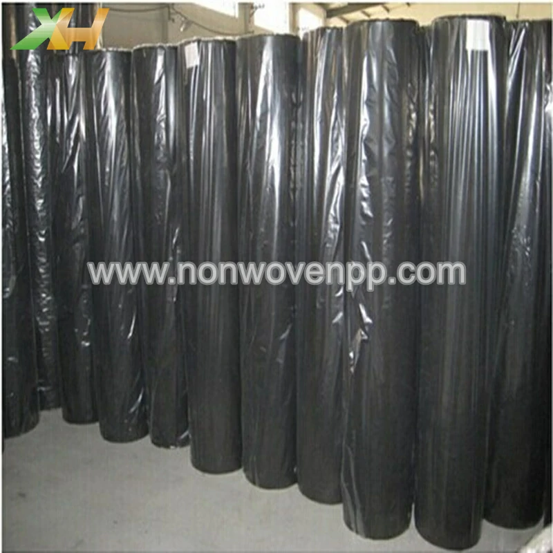 pp non woven fabric